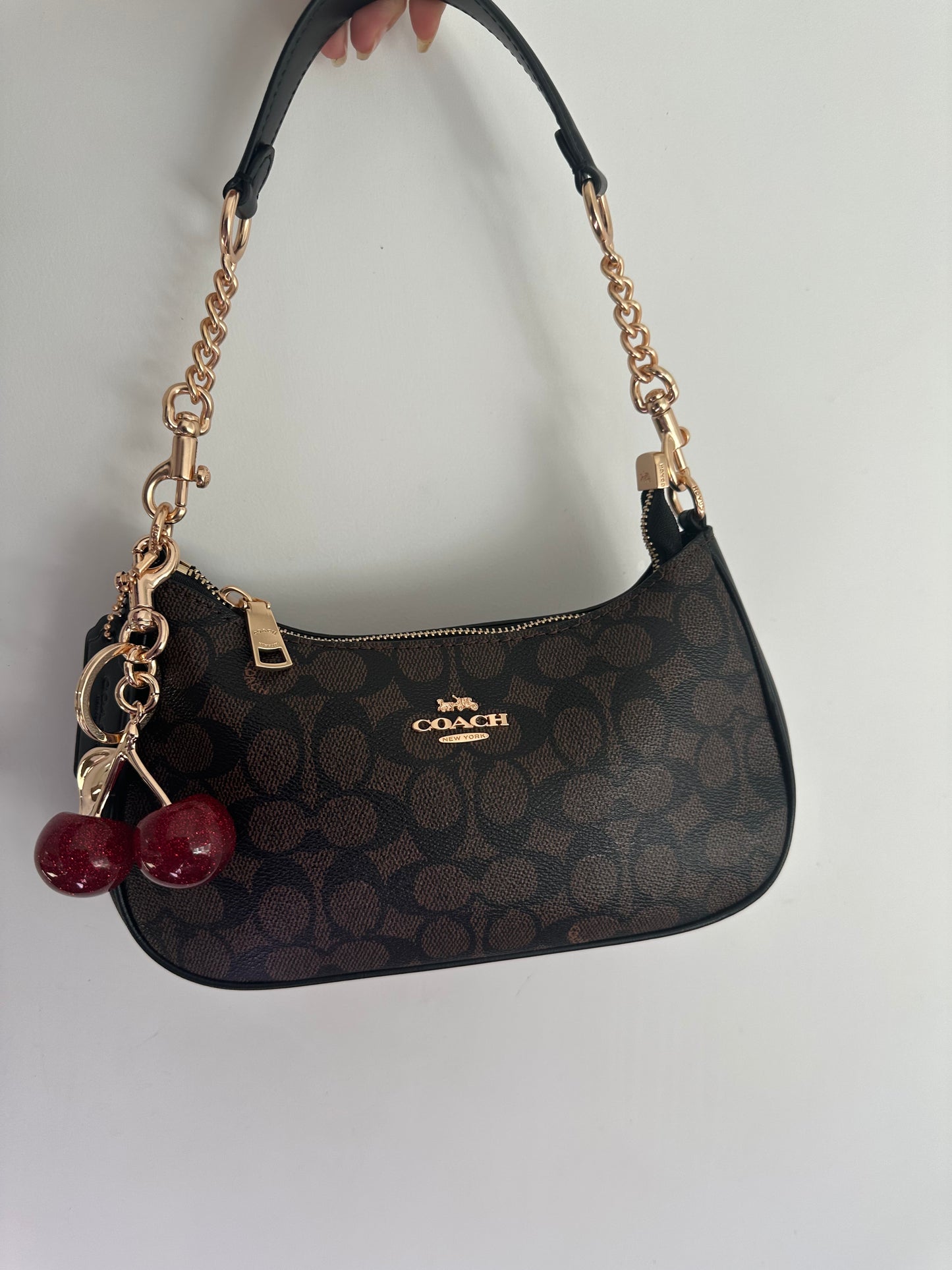 Teri Black Shoulder Handbag
