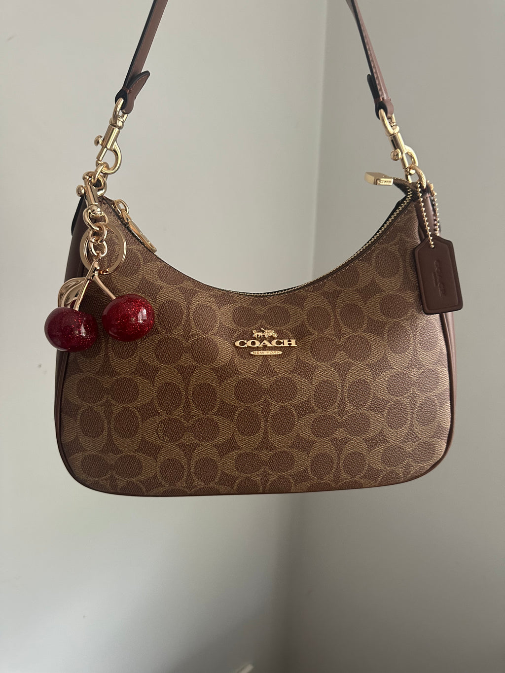 Hobo brown leather Teri Charmed bag