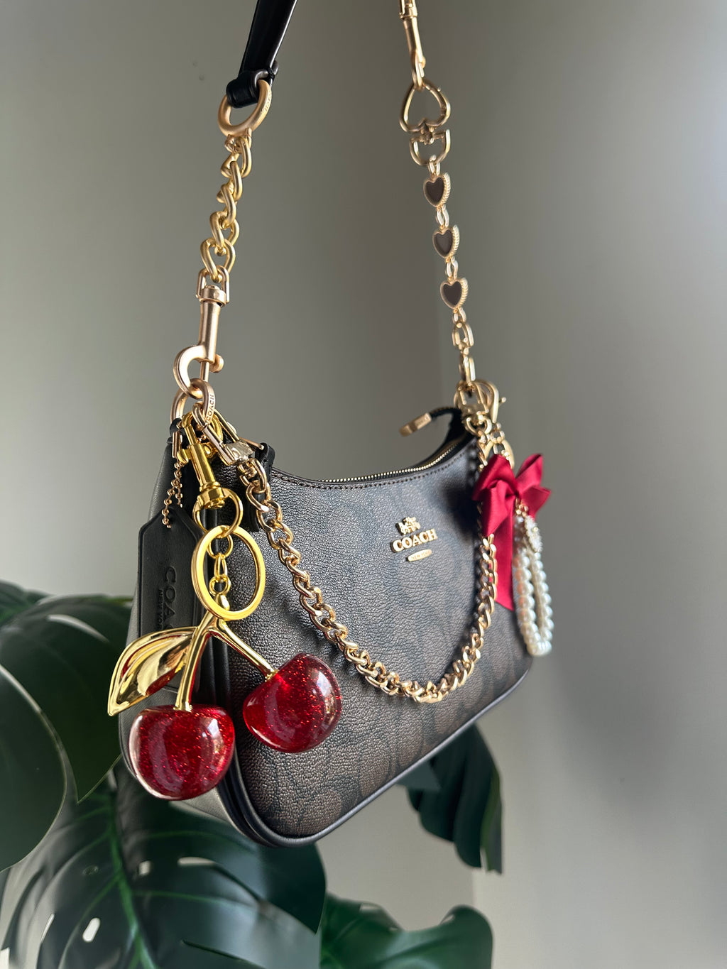 Signature Canvas Chain Shoulder Bag – Brown and Black