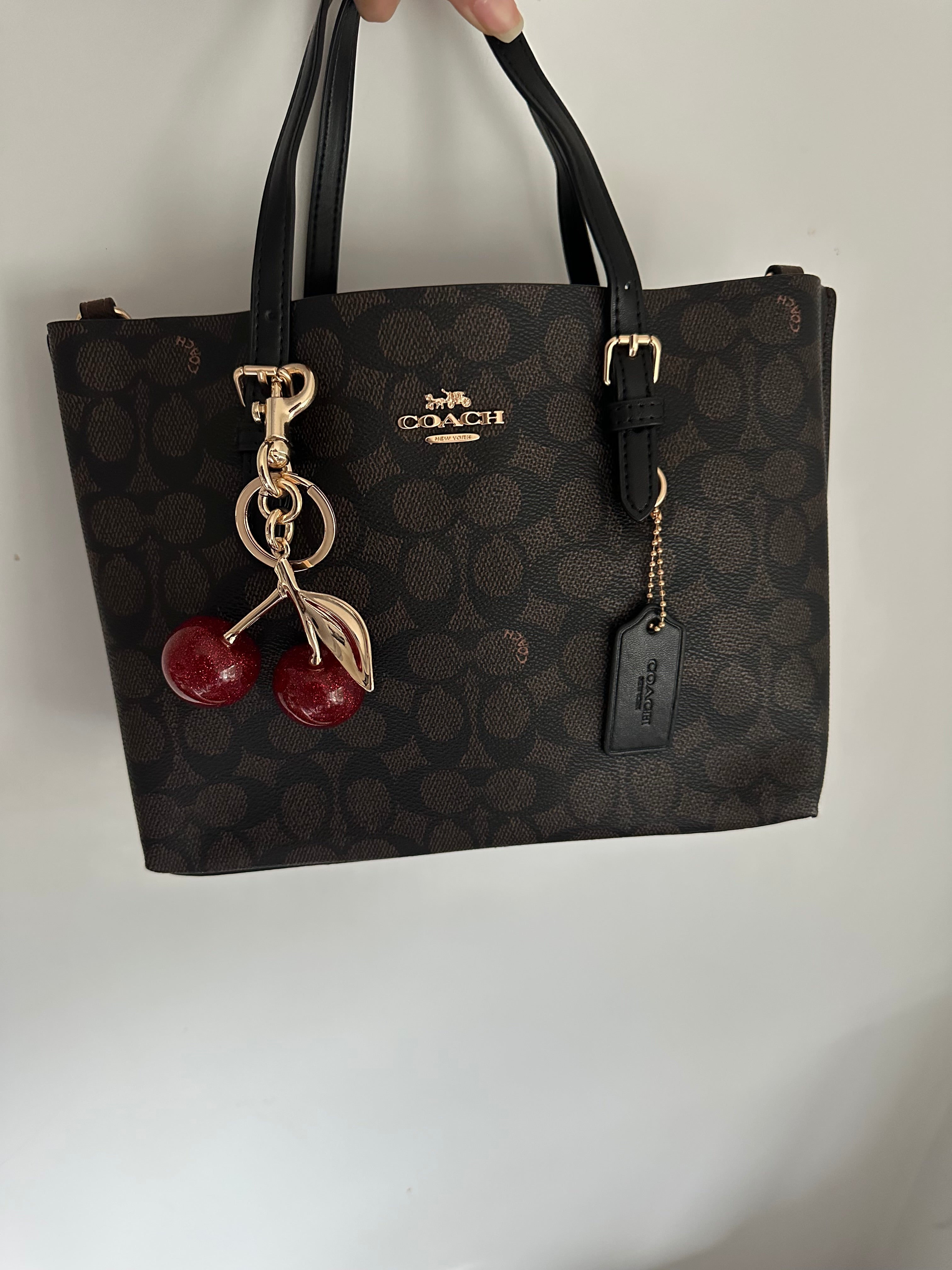 Brown Shoulder Handbag