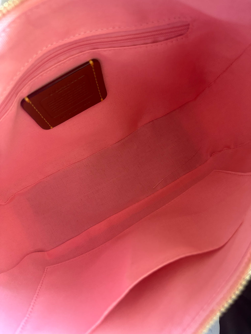 Pink Hobo Teri Charmed bag