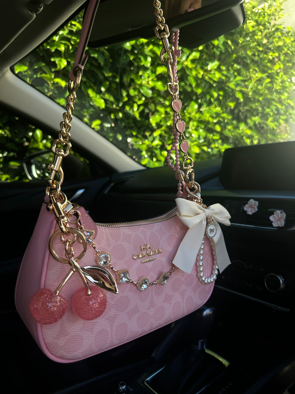 Pink Teri Charmed bag