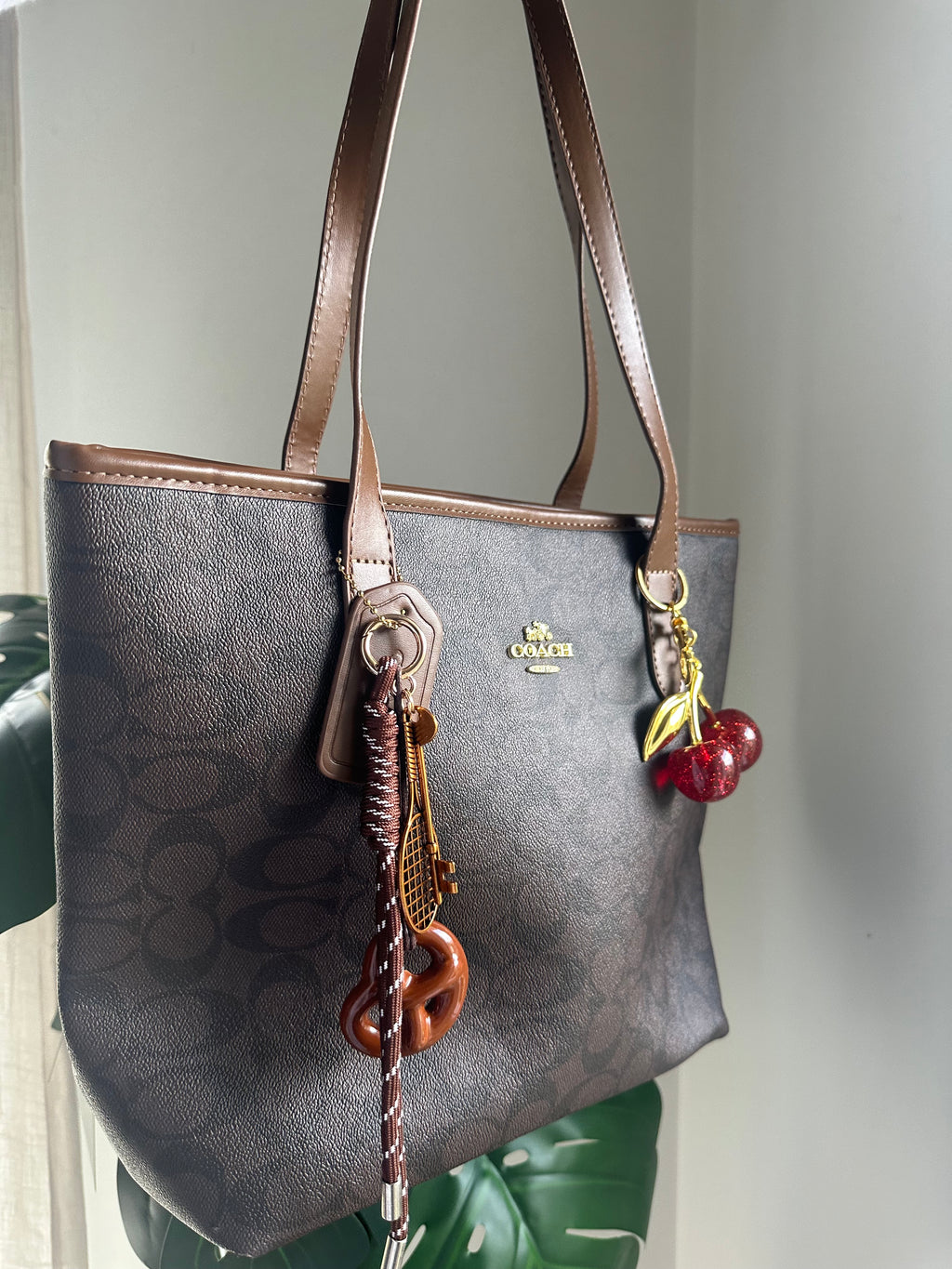 Signature Canvas Tote Bag – Brown and Black