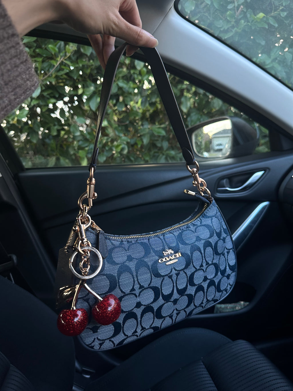 Teri Denim Shoulder Handbag