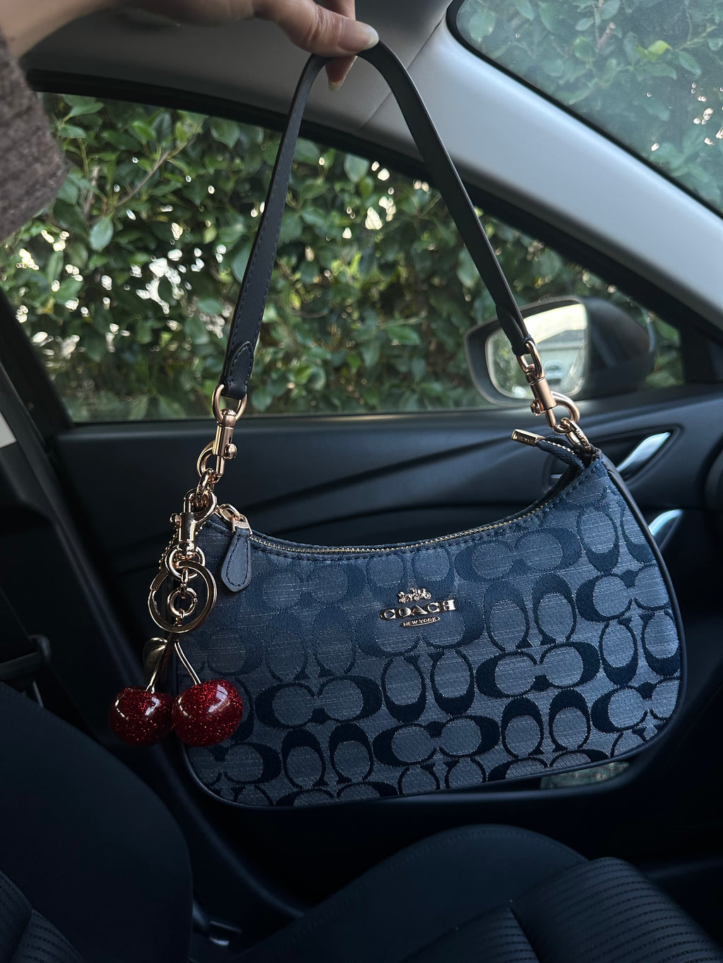 Teri Denim Shoulder Handbag