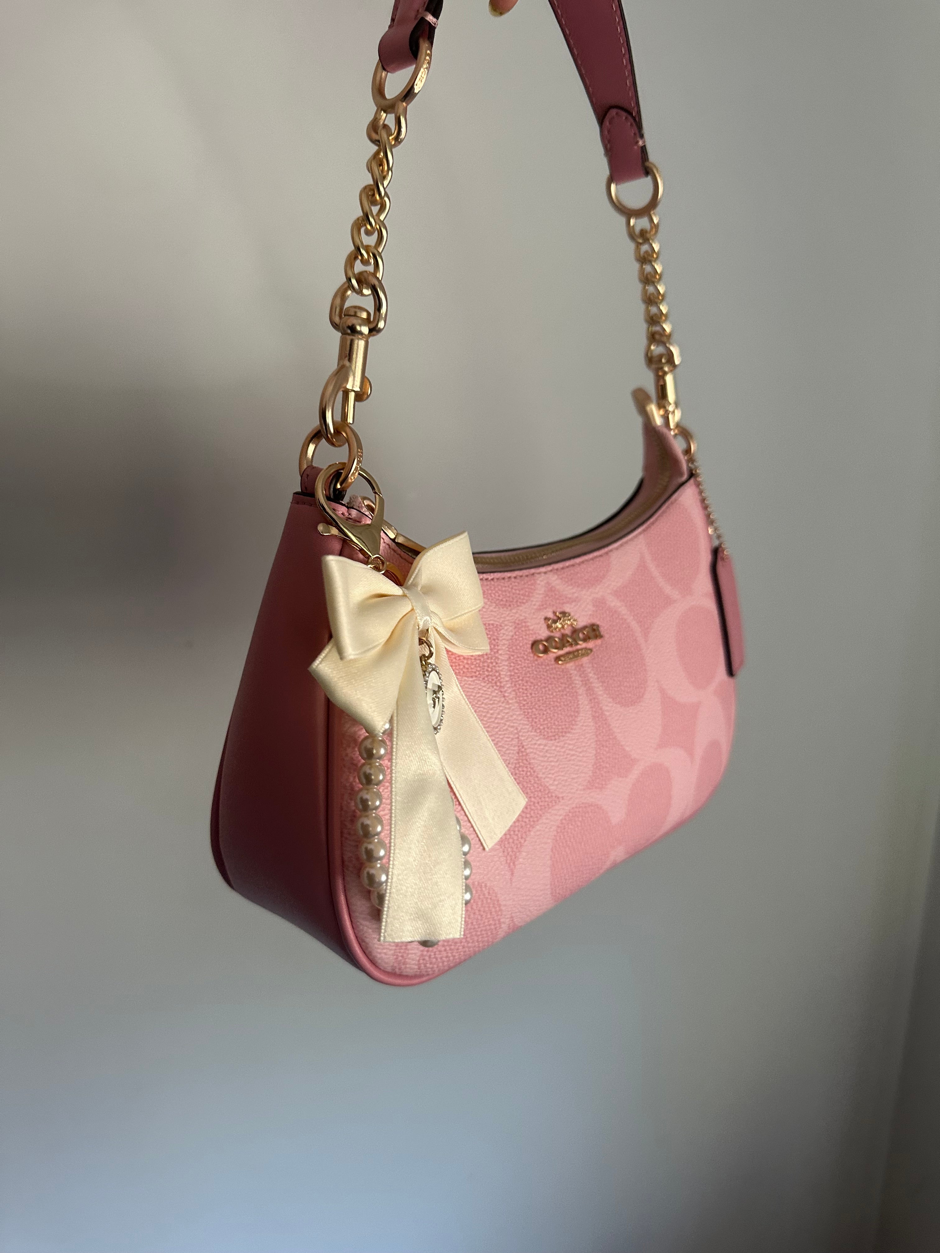 Pink Teri Charmed bag