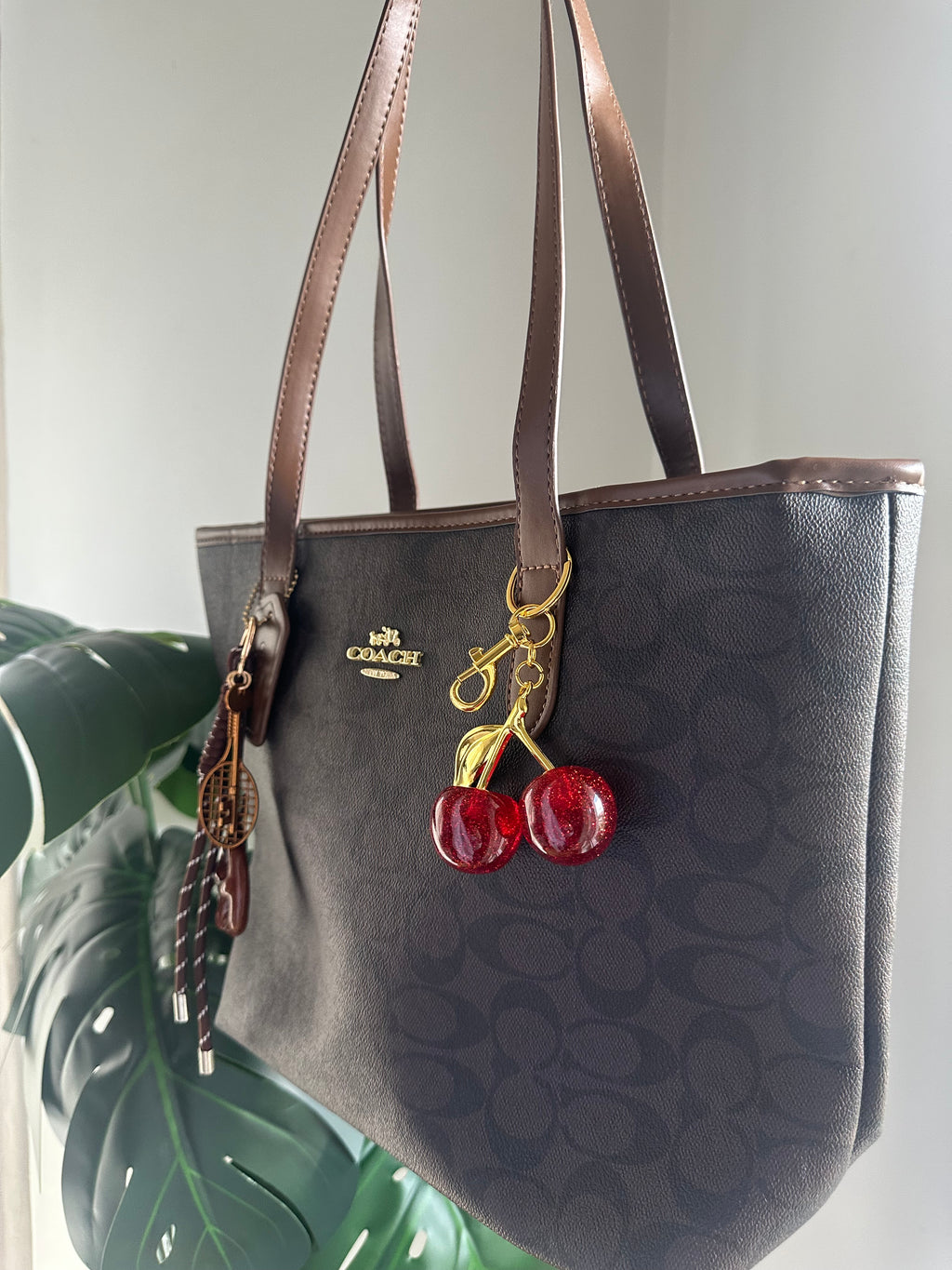 Signature Canvas Tote Bag – Brown and Black