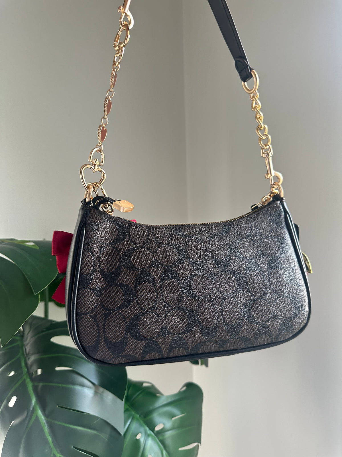 Signature Canvas Chain Shoulder Bag – Brown and Black