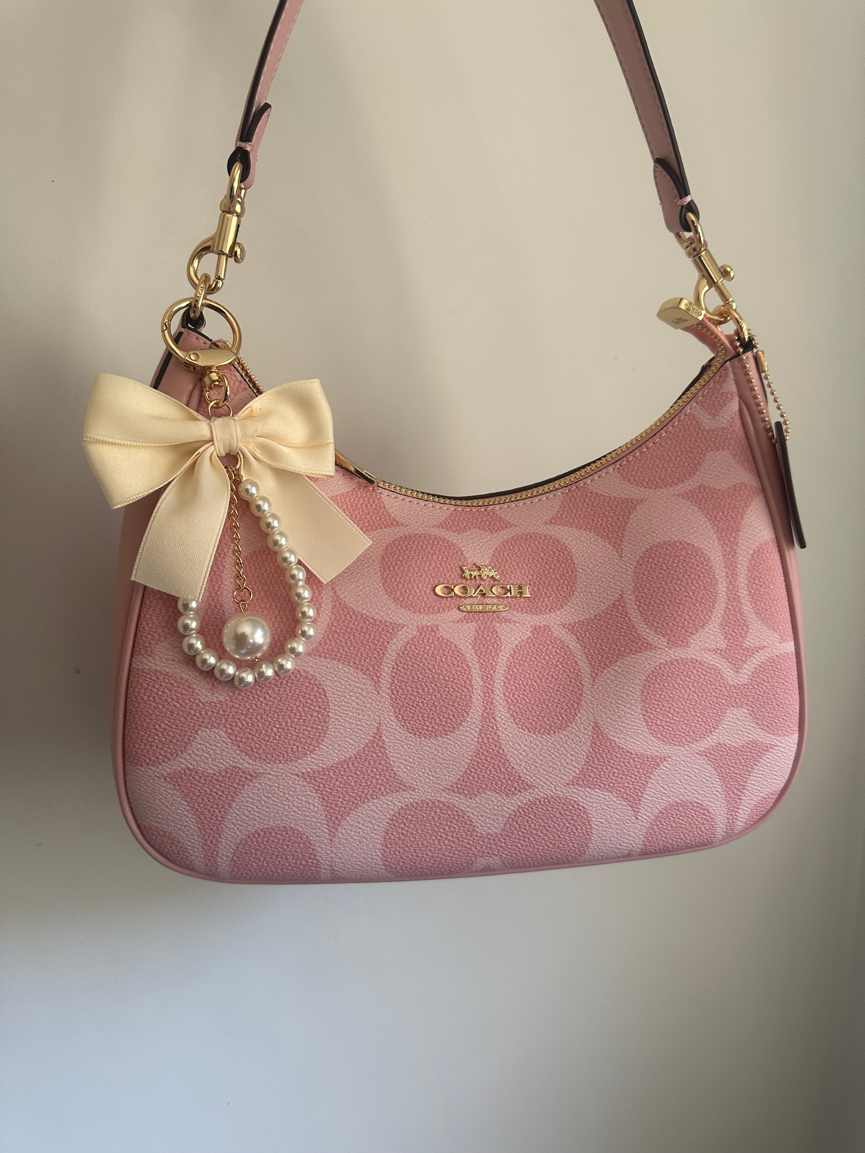 Pink Hobo Teri Charmed bag