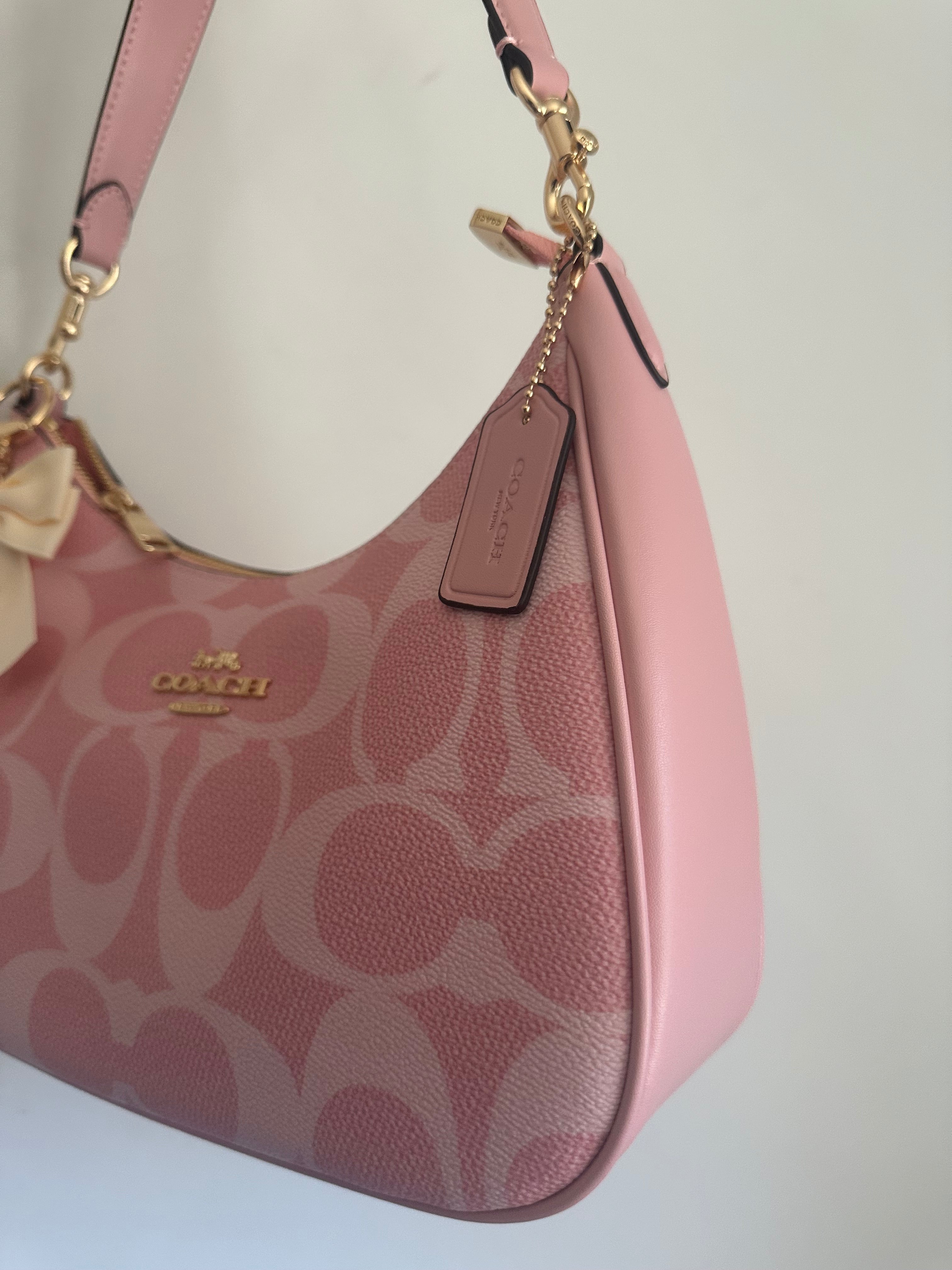 Pink Hobo Teri Charmed bag