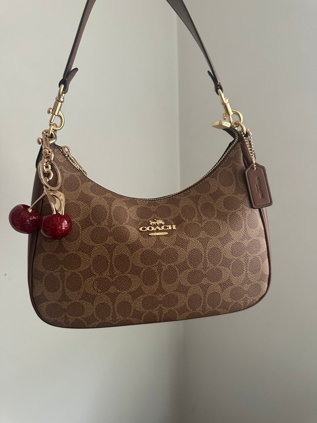 Hobo brown leather Teri Charmed bag