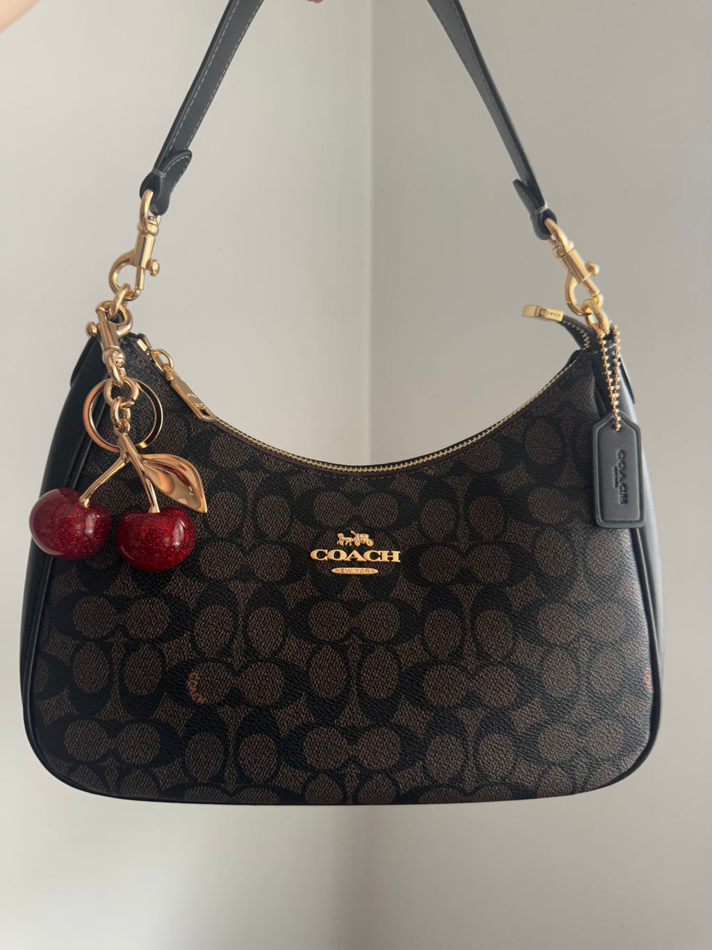 Hobo brown leather Teri Charmed bag