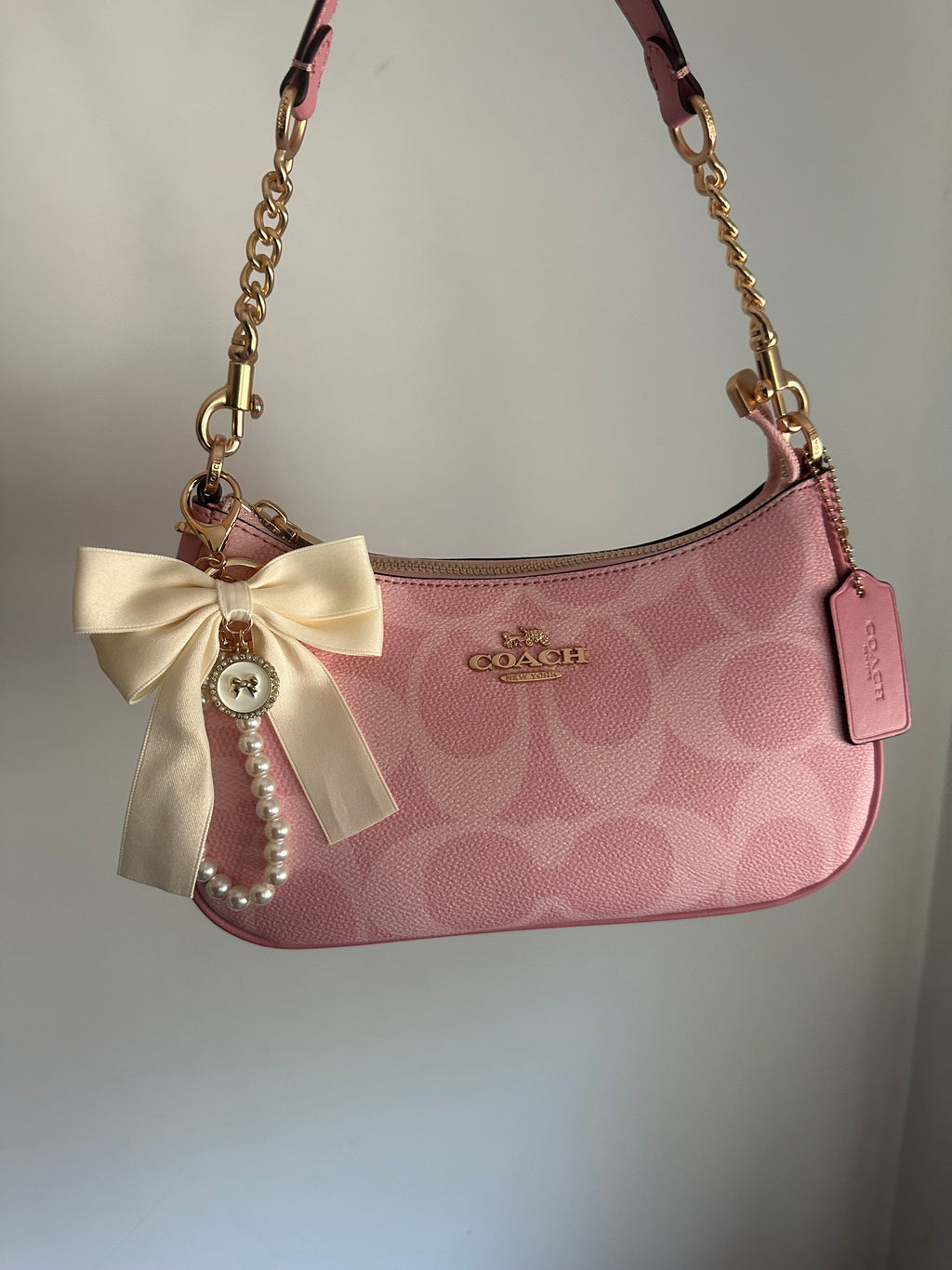 Pink Teri Charmed bag