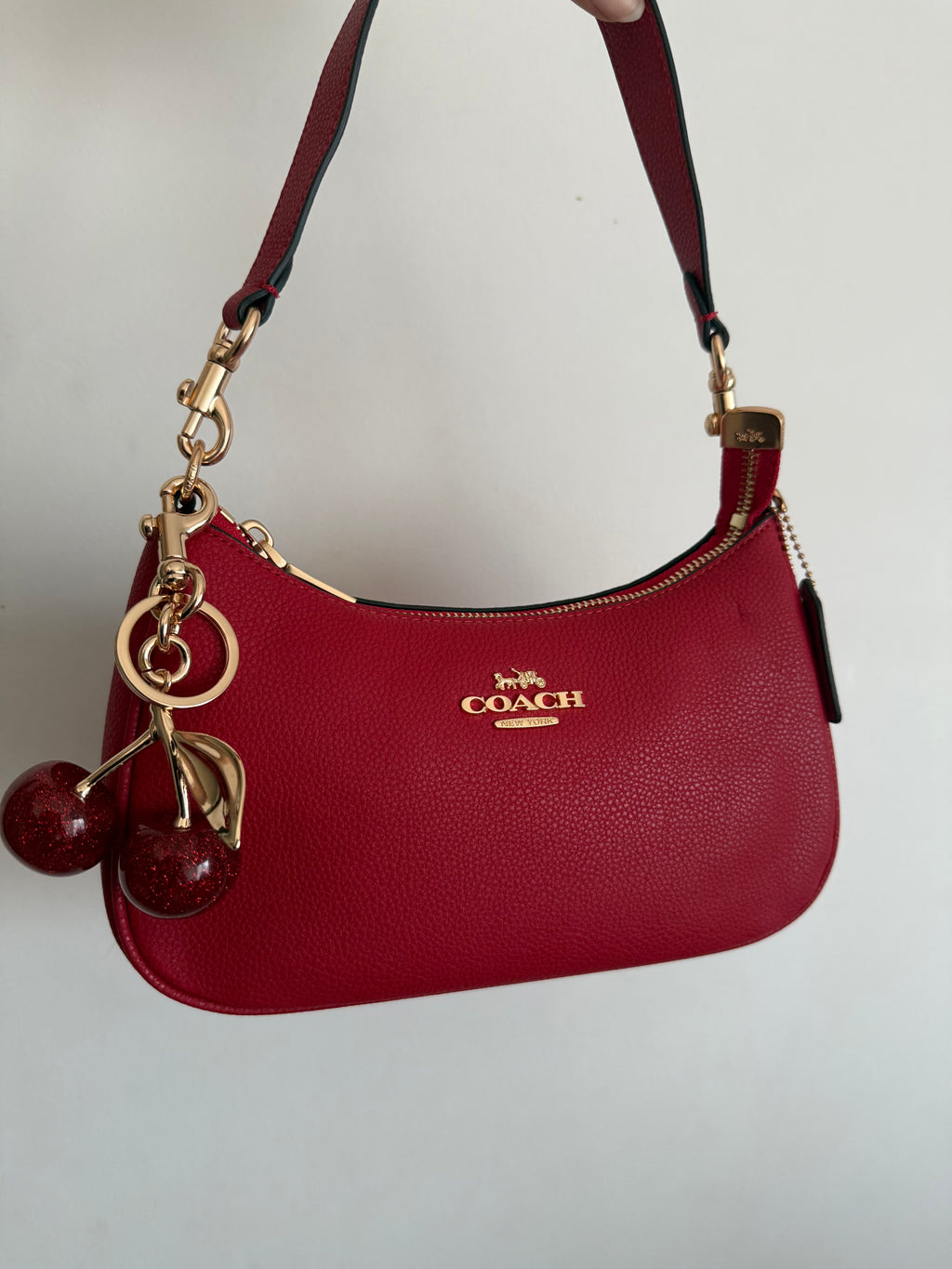 Red Teri Charmed bag