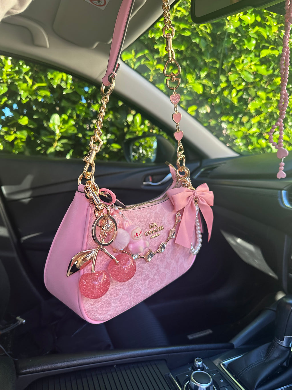 Pink Teri Charmed bag