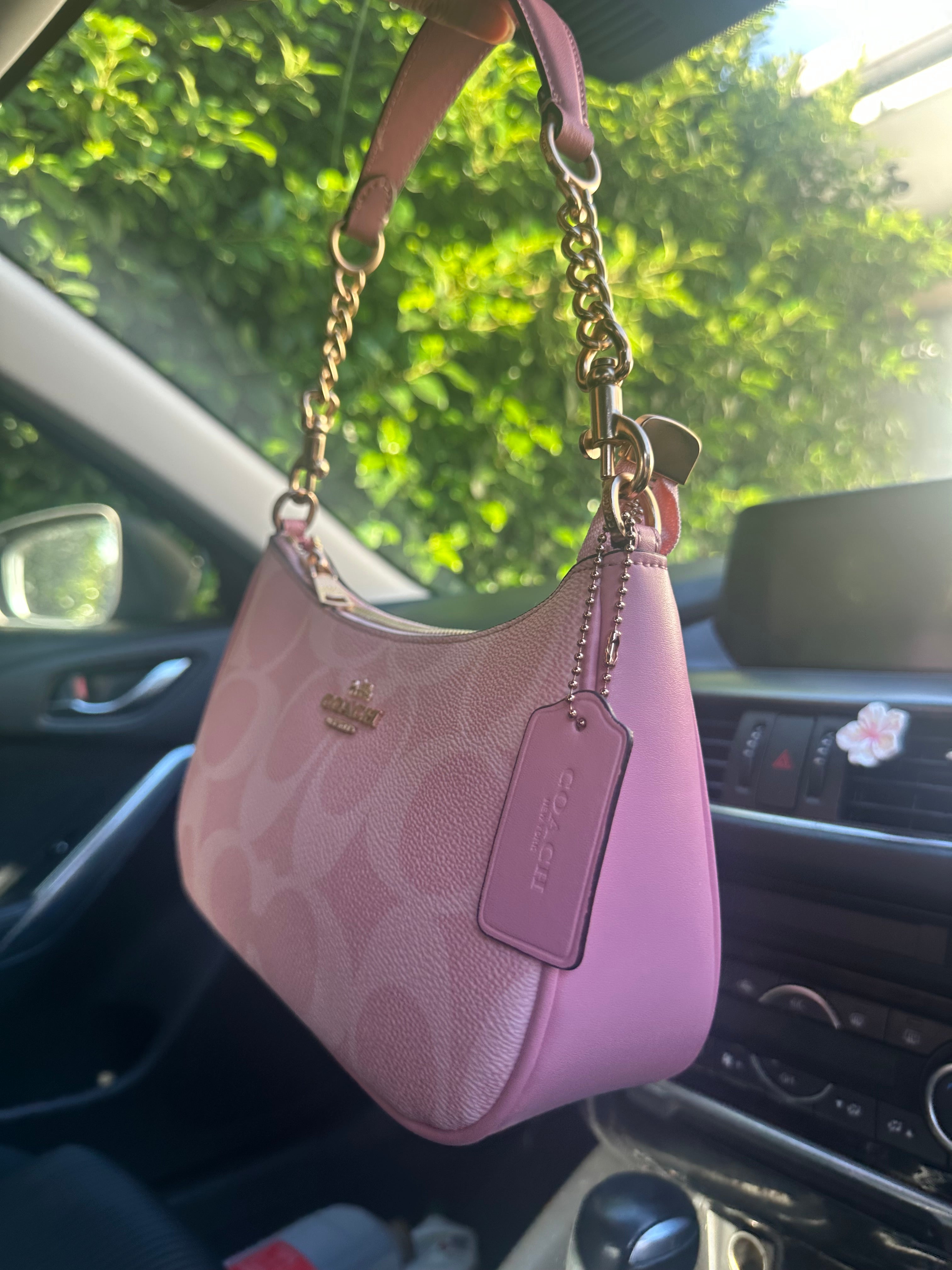 Pink Teri Charmed bag