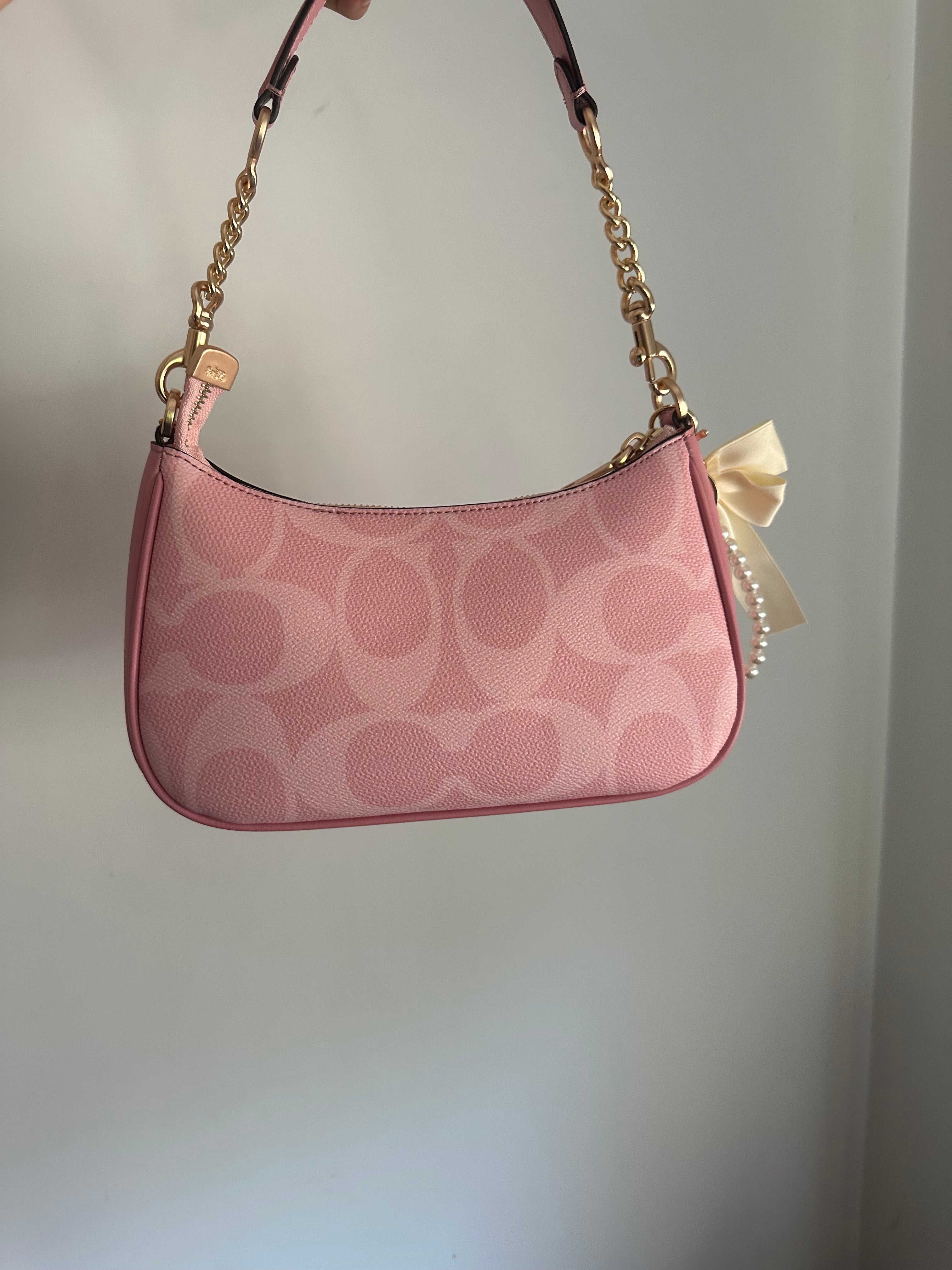 Pink Teri Charmed bag