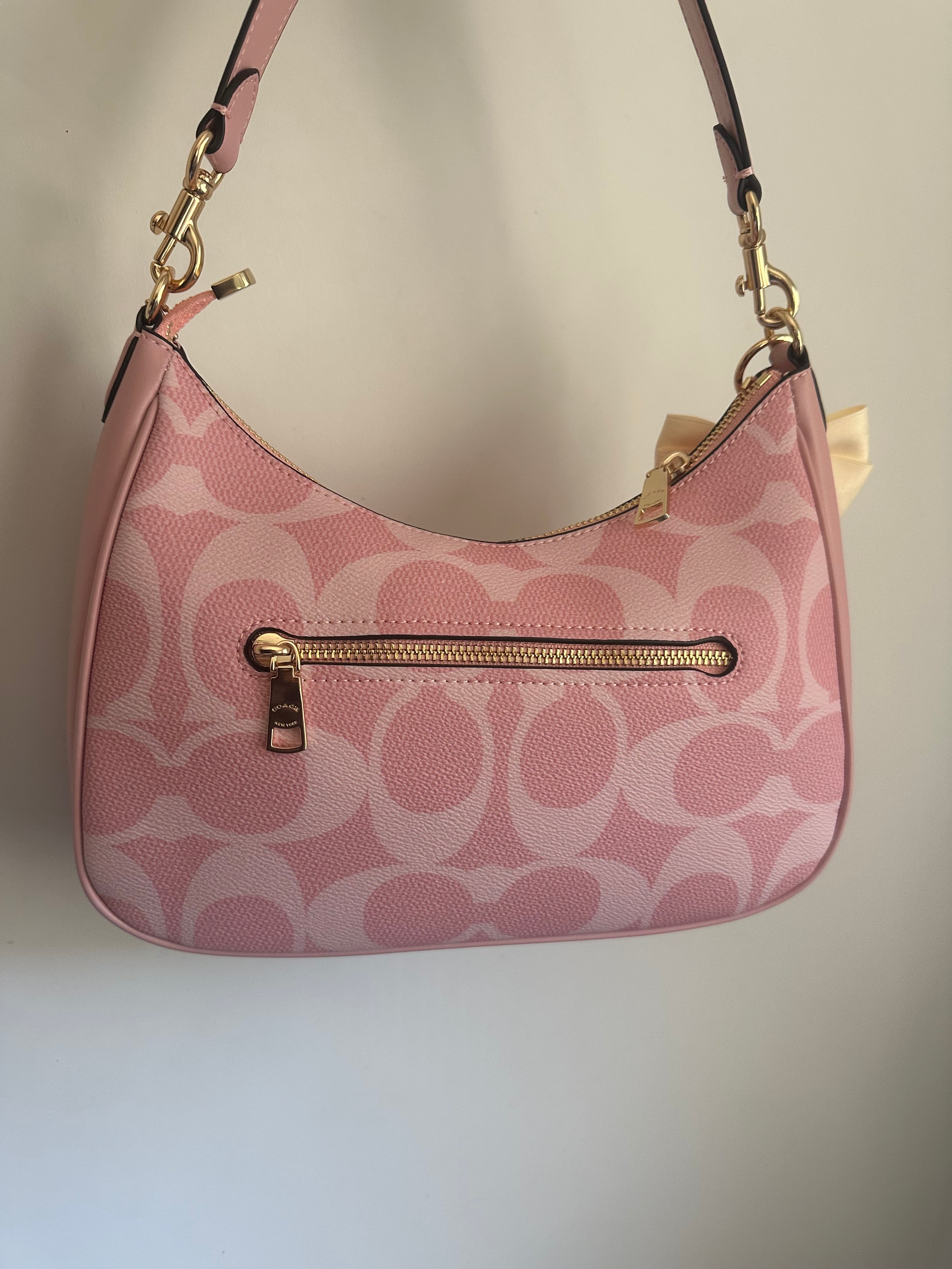 Pink Hobo Teri Charmed bag