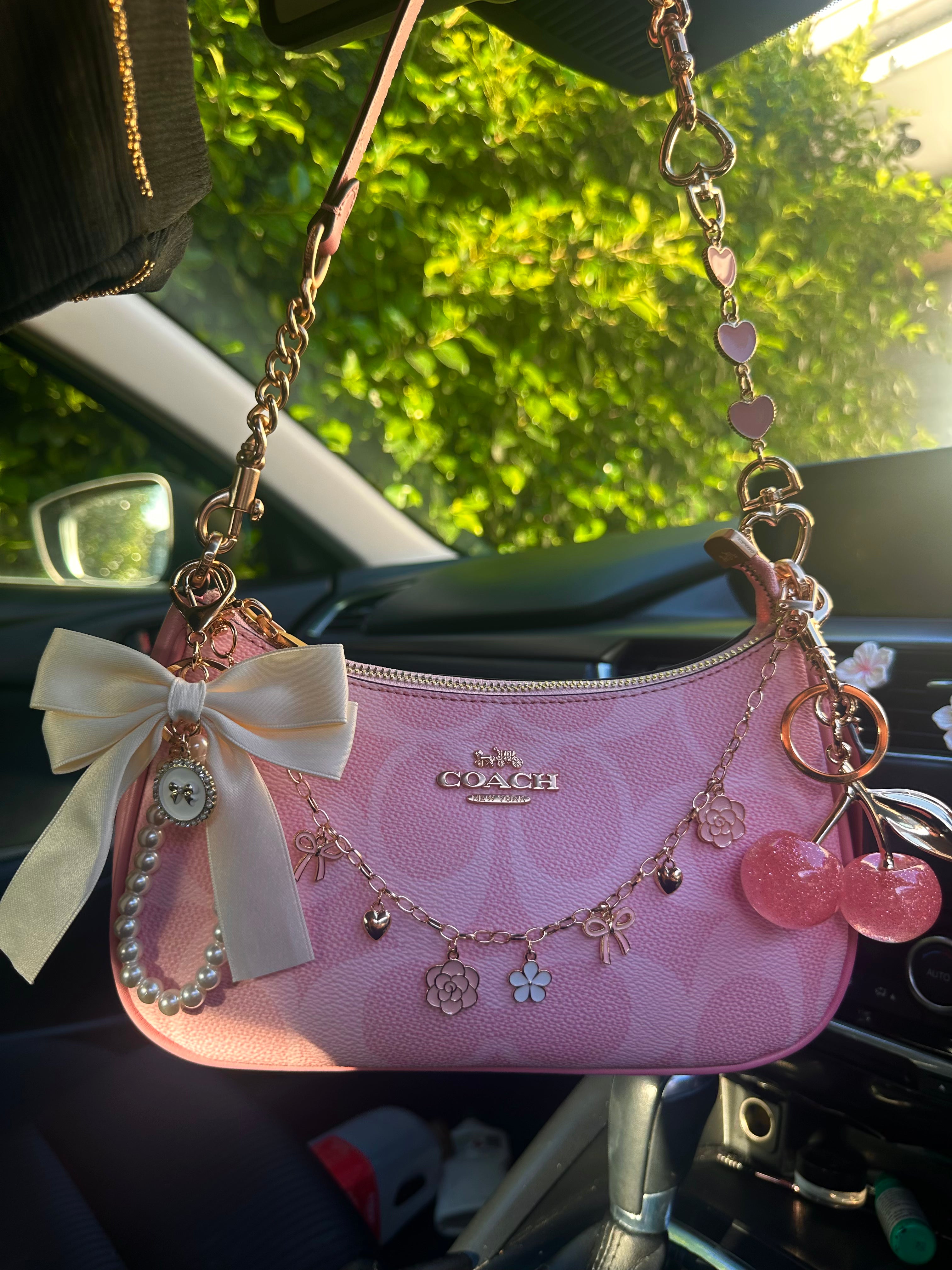 Pink Teri Charmed bag