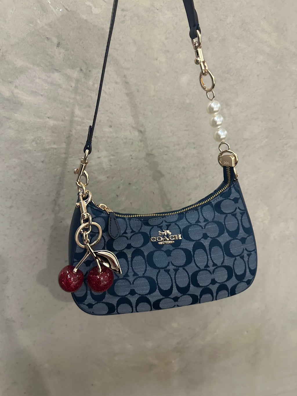 Teri Denim Shoulder Handbag