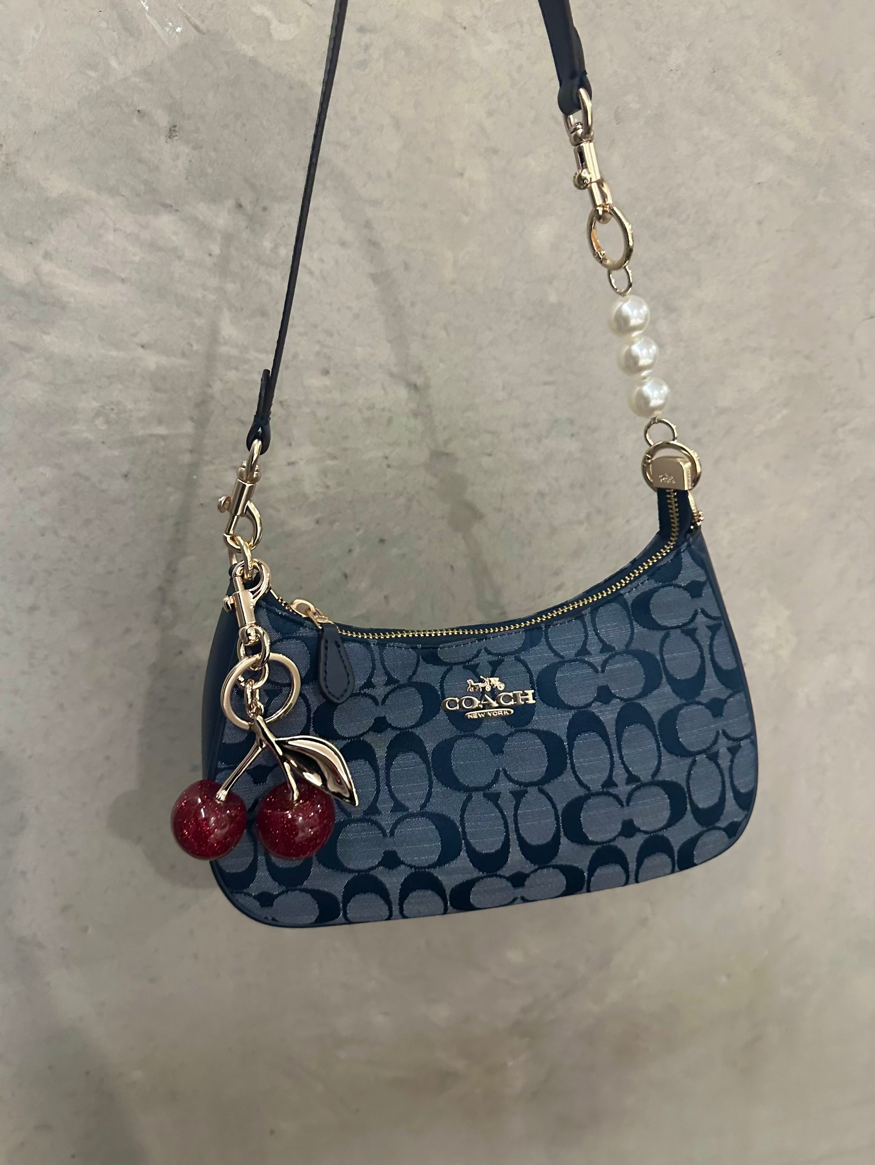 Teri Denim Shoulder Handbag