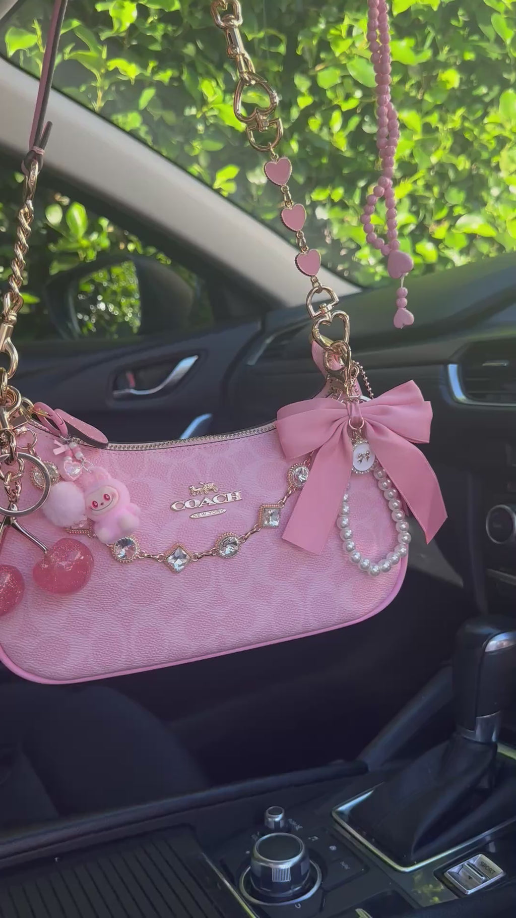 Pink Teri Charmed bag
